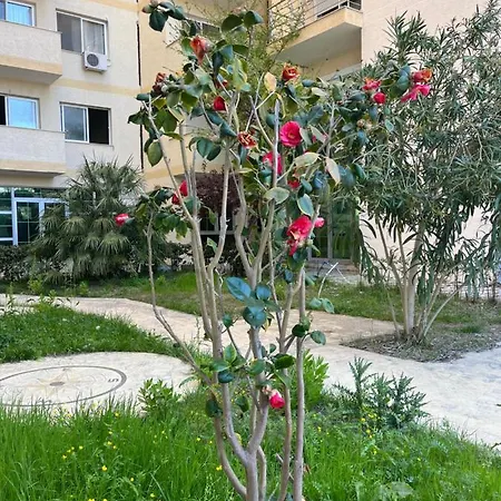 Luxury דירה *