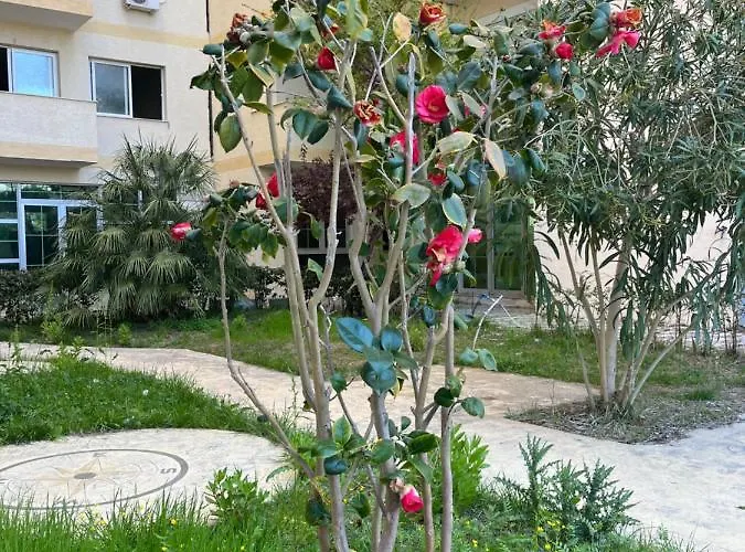 Dea Luxury Apartamento *